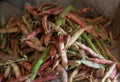 Still life of beans in a shed Royalty Free Stock Photo