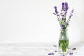 Still life with a beautiful bouquet of lavender flowers. holiday or wedding background with copy space Royalty Free Stock Photo