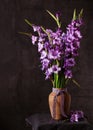 Still life with beautiful bouquet of lila, purple gladioli flowers in ceramic vase. Royalty Free Stock Photo