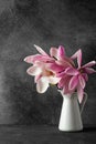 Still life with a beautiful bouquet of pink magnolia flowers on black background. holiday or wedding background Royalty Free Stock Photo