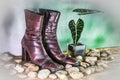 Still life, beautiful lady boots Royalty Free Stock Photo