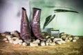 Still life, beautiful lady boots Royalty Free Stock Photo