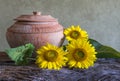 Still life beautiful sunflowers Royalty Free Stock Photo