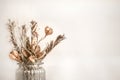 Still life beautiful vase with dried flowers Royalty Free Stock Photo