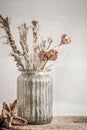 Still life beautiful vase with dried flowers Royalty Free Stock Photo