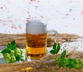 Beer glass, hops and barley Royalty Free Stock Photo