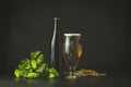 Still life with beer and hop plant in retro style. Glass of cold foamy beer brown bottle of beer and hop on a dark background Royalty Free Stock Photo