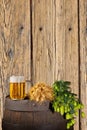 Still Life with Beer and Hops Royalty Free Stock Photo