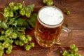 Still life of beer and hops on wooden planks background Royalty Free Stock Photo