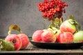 Still life berries of a viburnum and garden seasonal apples in plates Royalty Free Stock Photo