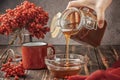 Still life berries of a viburnum in a glass and mug of hot tea and honey Royalty Free Stock Photo