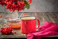 Still life berries of a viburnum in a glass and mug of hot tea a Royalty Free Stock Photo