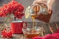 Still life berries of a viburnum in a glass and mug of hot tea a Royalty Free Stock Photo