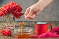 Still life berries of a viburnum in a glass and mug of hot tea and honey Royalty Free Stock Photo