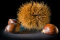 Still life on black background some chestnuts