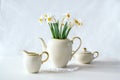 Still life with a blooming bouquet of white daffodils