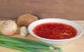 Borscht plate with onion with garlic and herbs Royalty Free Stock Photo