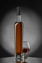 Whiskey, cognac, brandy, bourbon, rum, scotch. Strong alcohol drink close-up.. Royalty Free Stock Photo