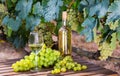 Still life with bottle of white wine, glass of wine and grapes Royalty Free Stock Photo