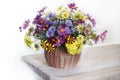 Beautiful bouquet of colorful asters in a basket on a white background Royalty Free Stock Photo