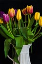 A still life with a bouquet of colourful tulips in a white vase in front of black background Royalty Free Stock Photo