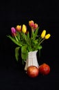 A still life with a bouquet of colourful tulips in a white vase with two pomegranates in front of black background Royalty Free Stock Photo