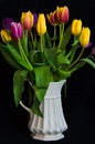 A still life with a bouquet of colourful tulips in a white vase in front of black background Royalty Free Stock Photo