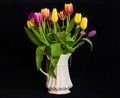 A still life with a bouquet of colourful tulips in a white vase in front of black background Royalty Free Stock Photo