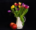 A still life with a bouquet of colourful tulips in a white vase with two pomegranates in front of black background Royalty Free Stock Photo