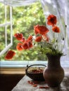 Still life with bouquet of red poppies and strawberry Royalty Free Stock Photo