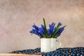 Still life bouquet spring flowers blue Royalty Free Stock Photo