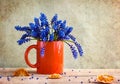 Still life bouquet spring flowers blue Royalty Free Stock Photo