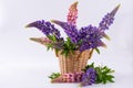 Still life with Bouquet of summer flowers in basket. Royalty Free Stock Photo