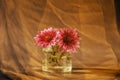 Still life with a bouquet of two pink flowers Royalty Free Stock Photo