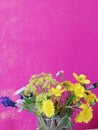 Still life with a bouquet of wild flowers,  field bell,chamomile, carnation flower, lavender,Top view, close up Template for poste Royalty Free Stock Photo