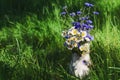 Bouquet of daisies and cornflowers in an old flowerpot on a background of green grass Royalty Free Stock Photo