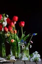 Still life with bouquets of red tulips, field daisies, muscaris in glass jars, cherry blossoms on dark background