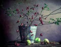 Still Life branches hawthorn apples Royalty Free Stock Photo