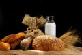 Still life with bread and milk, lit by the sun Royalty Free Stock Photo