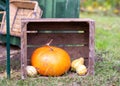 still life with bright pumpkin, autumn harvest time Royalty Free Stock Photo