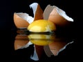 Still-life with a broken egg III Royalty Free Stock Photo