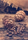 Still life with cedar cones Royalty Free Stock Photo