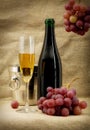 Still life with champagne bottle and fruits Royalty Free Stock Photo