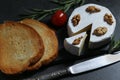 Still life with cheese on a dark stone background