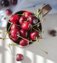 Still life with cherries in a copper mug also in a steel cup