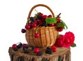 Still life of cherry and mulberry in a wicker basket and on a stump with a transparent background