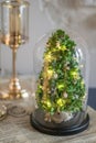 Modern christmas decoration table display. Cute little festive glas Cloche filled with green hydrangea flowers Royalty Free Stock Photo