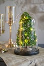 Modern christmas decoration table display. Cute little festive glas Cloche filled with green hydrangea flowers Royalty Free Stock Photo