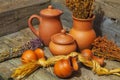 Still life with clay jugs of various sizes and bundles of dried medicinal herbs on wooden table