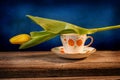 Still life of a closed yellow tulip placed on an orange and white ornate pottery cup on a barn wood table in front of a blue